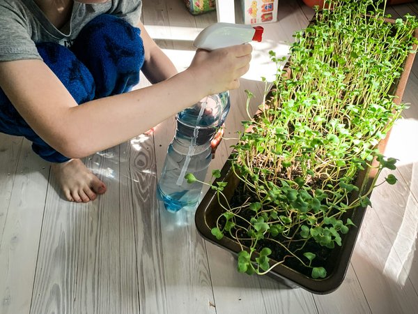 Micro-station d'épuration : la solution idéale pour votre habitat